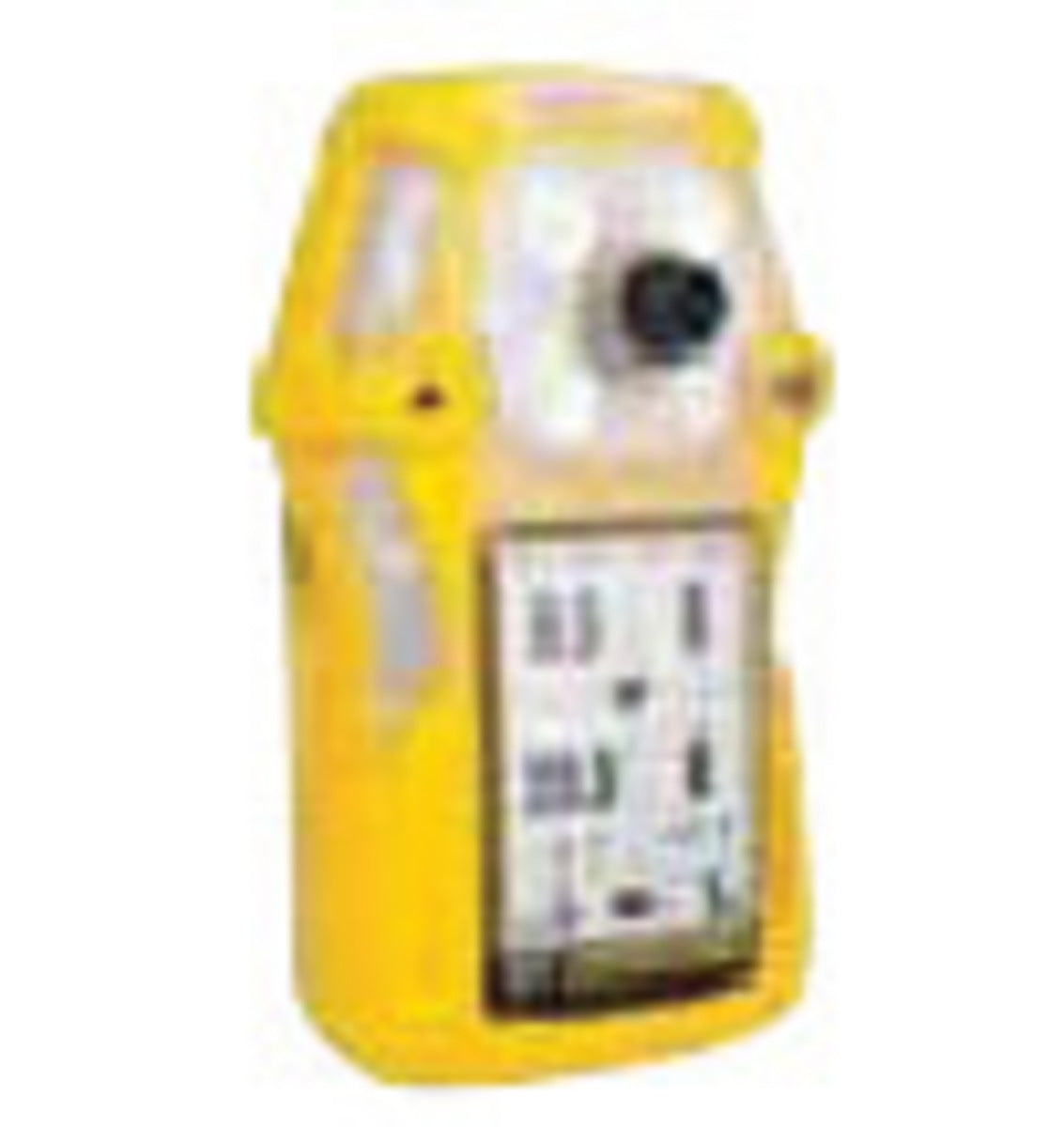 BW Technologies by Honeywell Auxiliary Filter For GasAlertQuattro Multi-Gas Detector