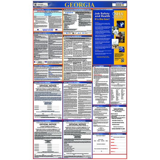 NMC™ 39" X 27" Multi 0.004" Laminated Paper Labor Laws Poster "GEORGIA"