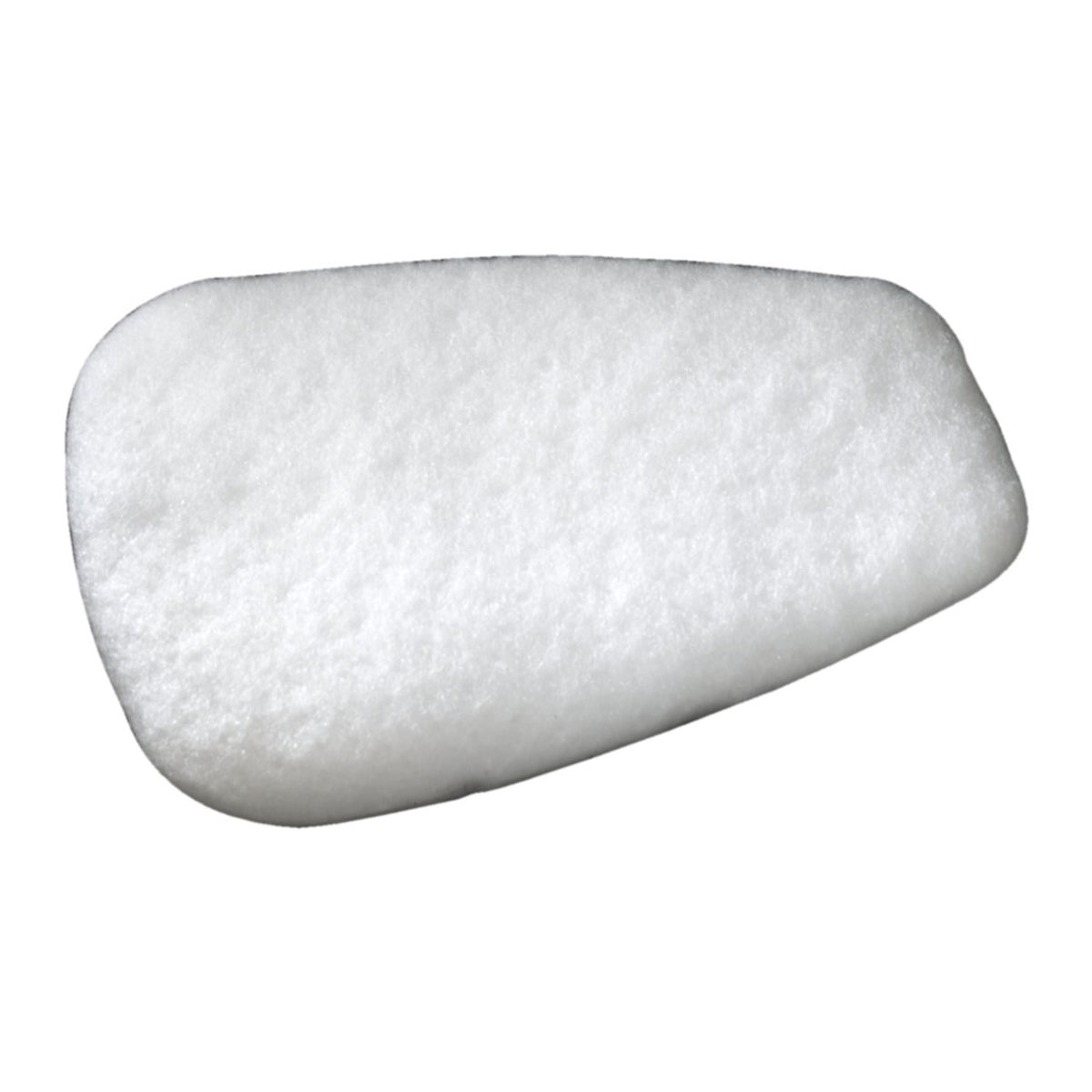 3M™ N95 Filter