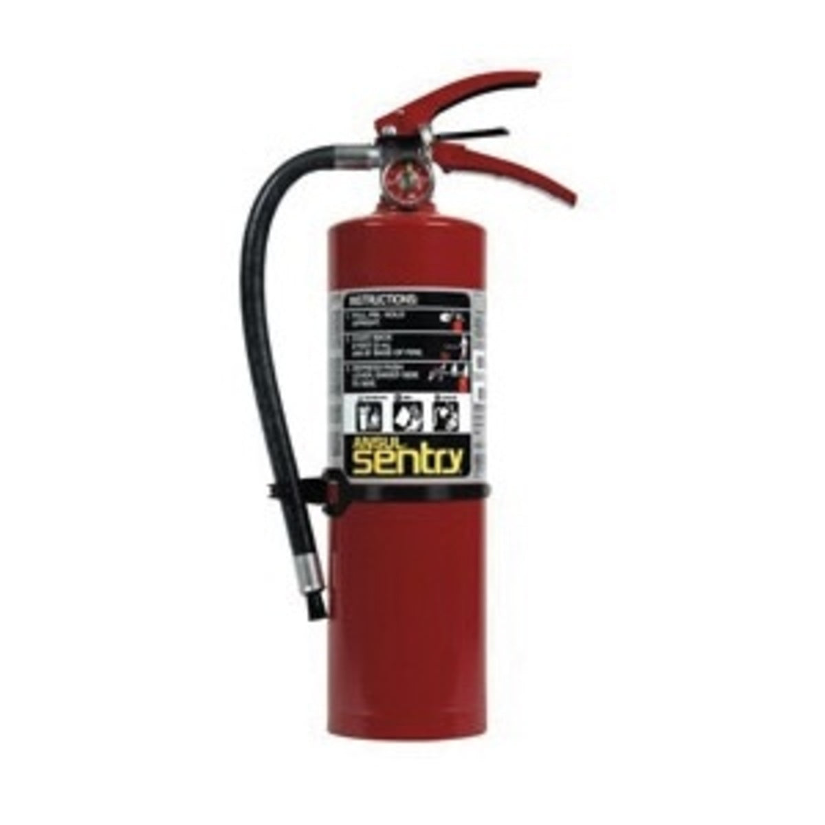 Ansul® Model AA05S-1 Sentry® 5 lb ABC Fire Extinguisher