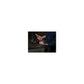 Milwaukee 48-22-6330  2-Piece 6" & 10" Straight Jaw Pliers Set