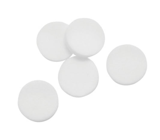 BW Technologies by Honeywell Particulate Pump Filter Kit For GasAlert Series Multi-Gas Detector