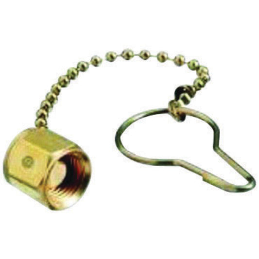 Western CGA-347 Female RH Nut X Plug Stainless Steel 5500 psig 2 Piece Chain And Plug Assembly With Gas Tight Sealing